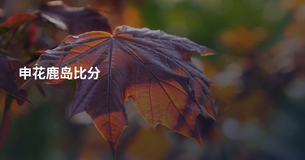 申花鹿岛比分