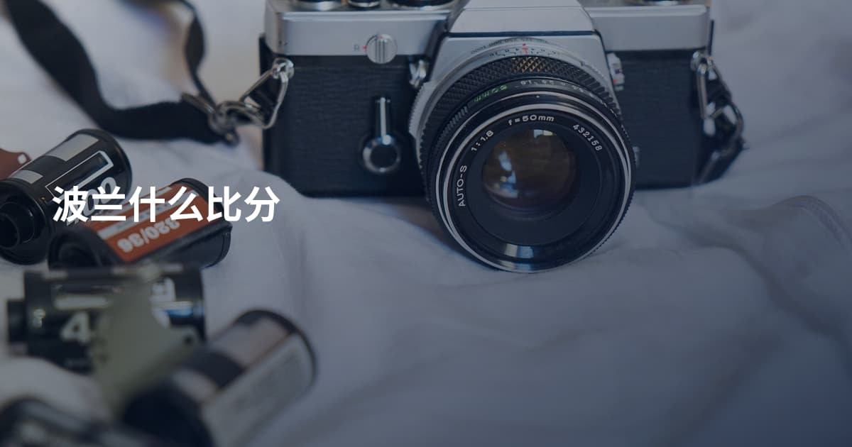 波兰什么比分