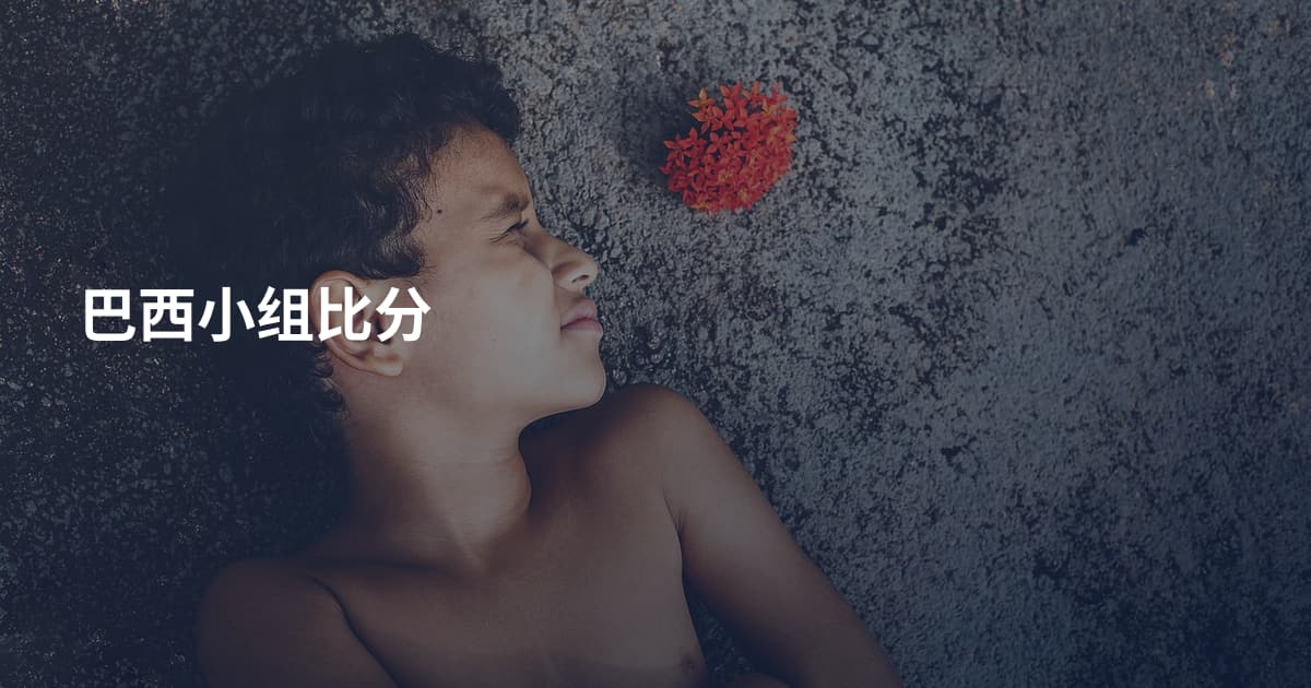 巴西小组比分