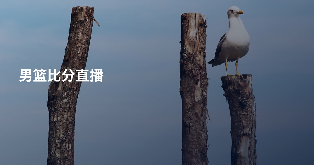 男篮比分直播