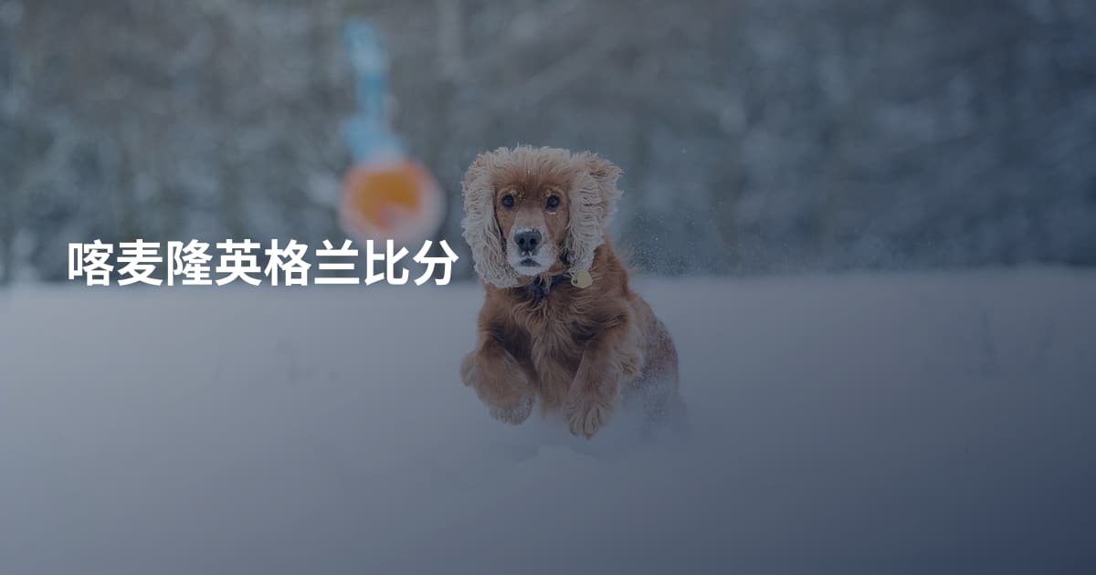 喀麦隆英格兰比分