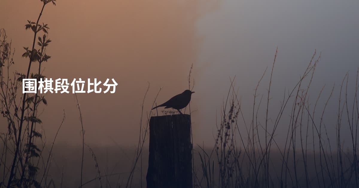 围棋段位比分