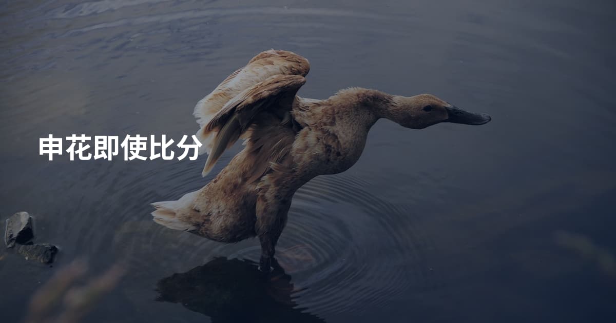 申花即使比分