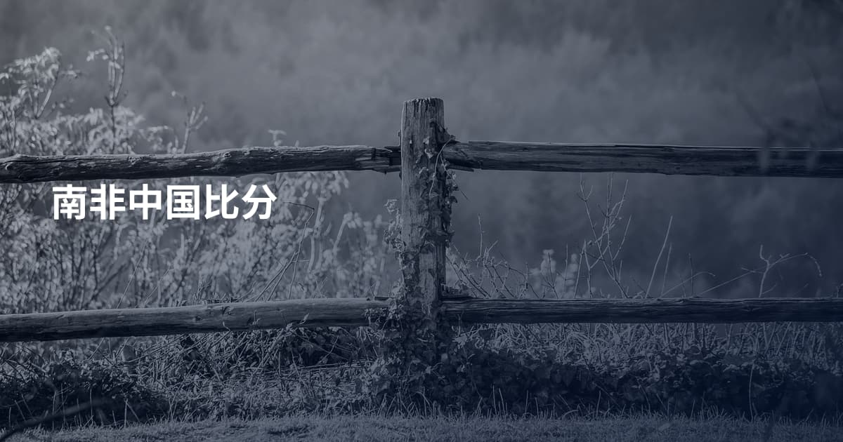 南非中国比分