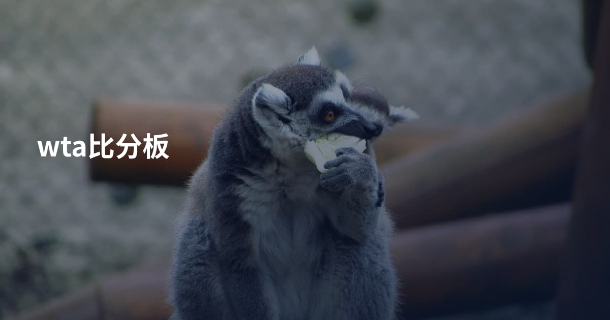 wta比分板