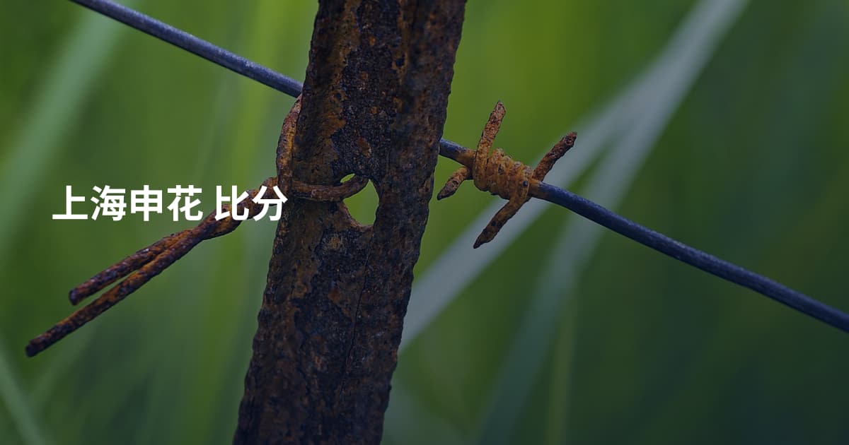 上海申花 比分