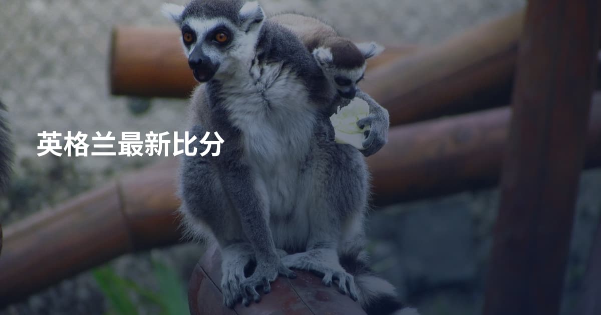 英格兰最新比分