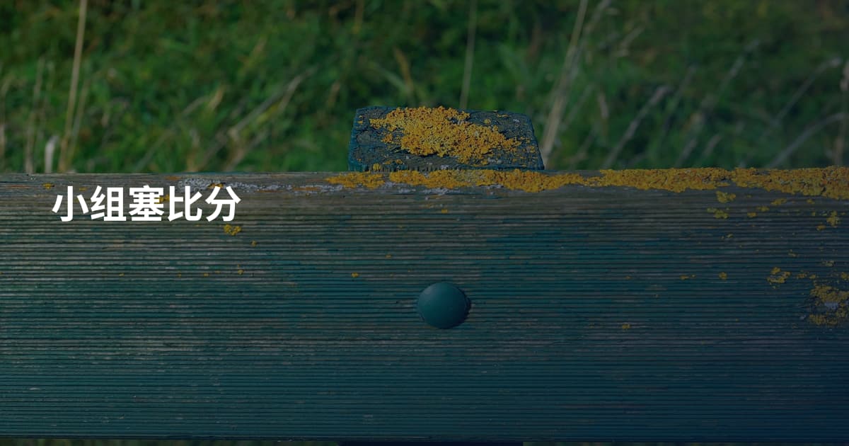 小组塞比分