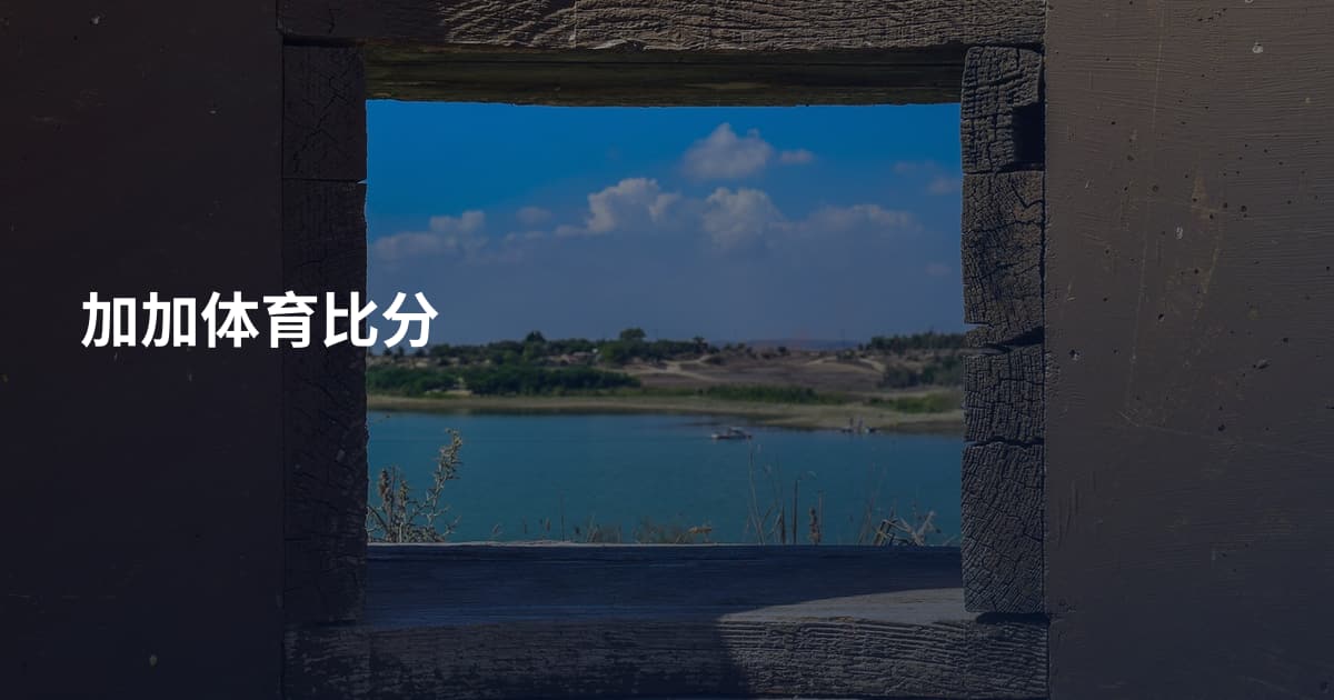 加加体育比分