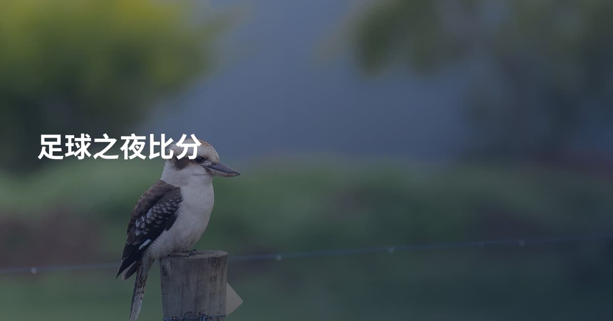 足球之夜比分