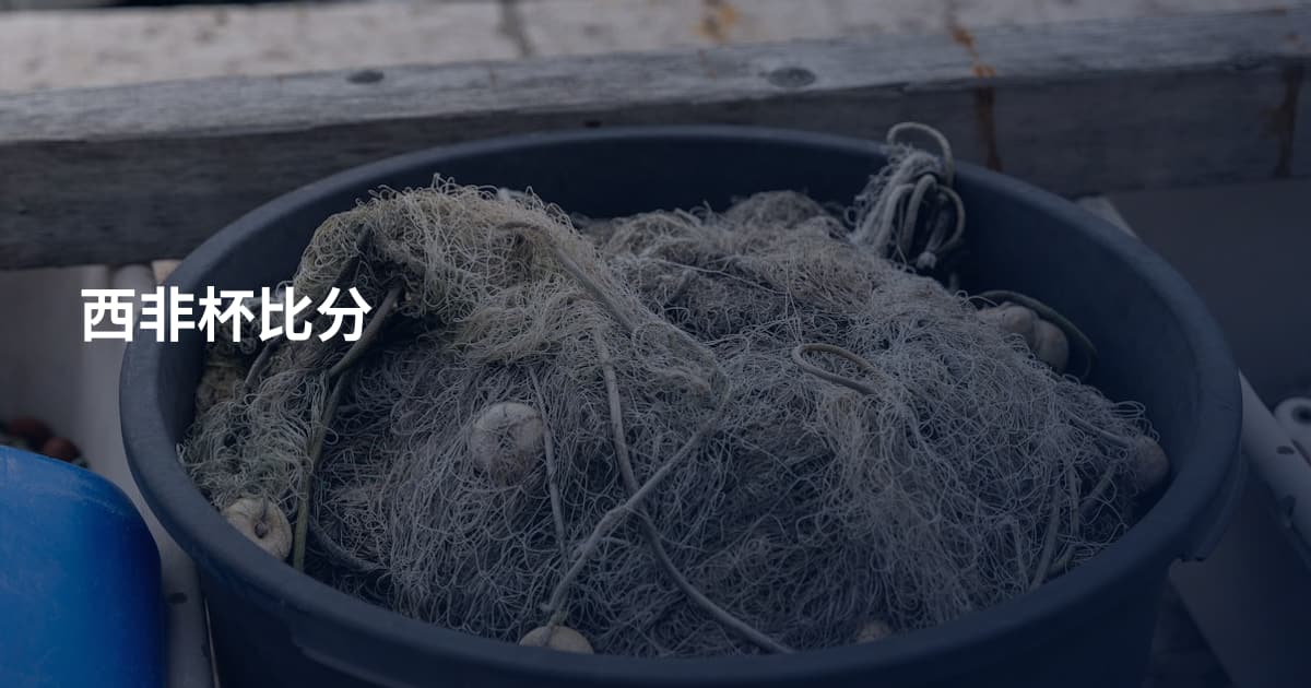 西非杯比分