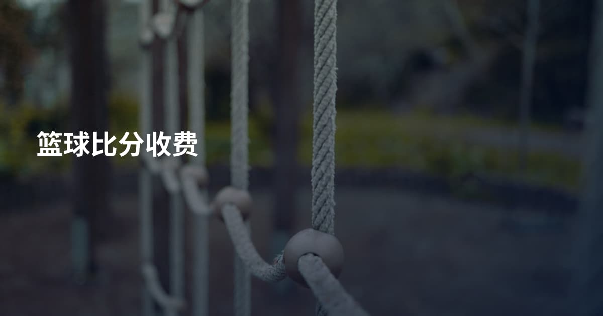 篮球比分收费