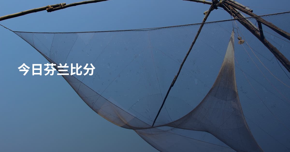 今日芬兰比分