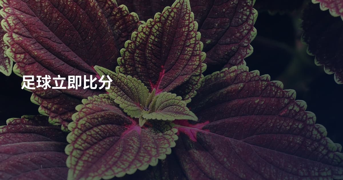 足球立即比分