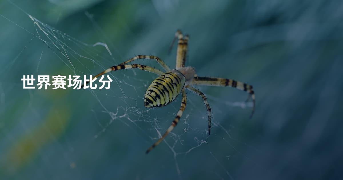 世界赛场比分