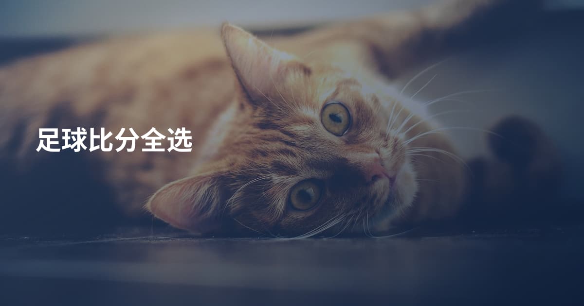 足球比分全选