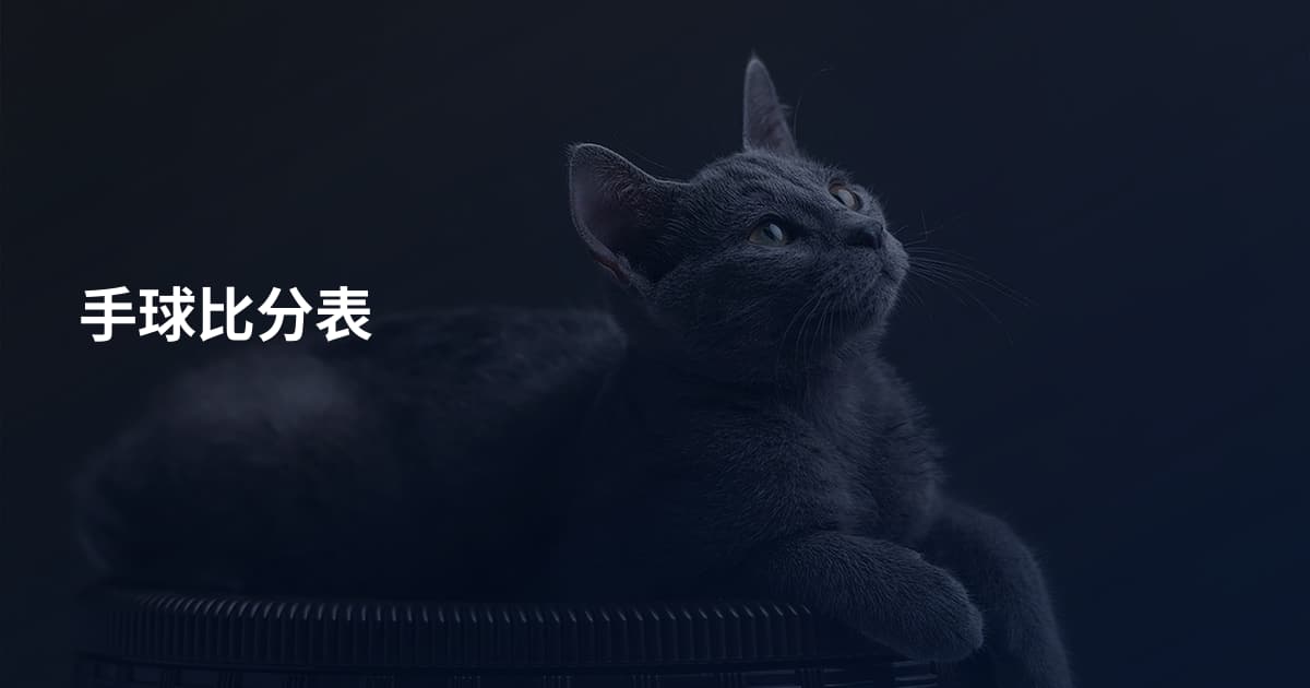 手球比分表