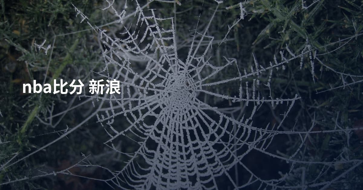 nba比分 新浪