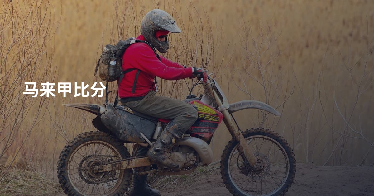 马来甲比分