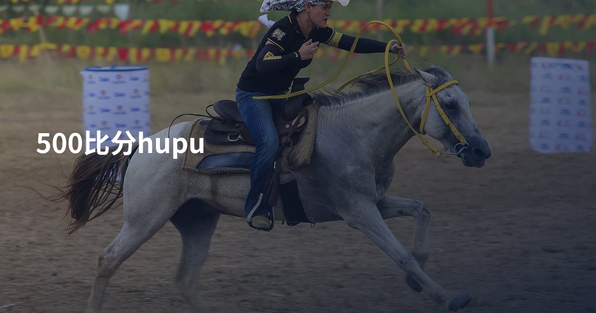 500比分hupu