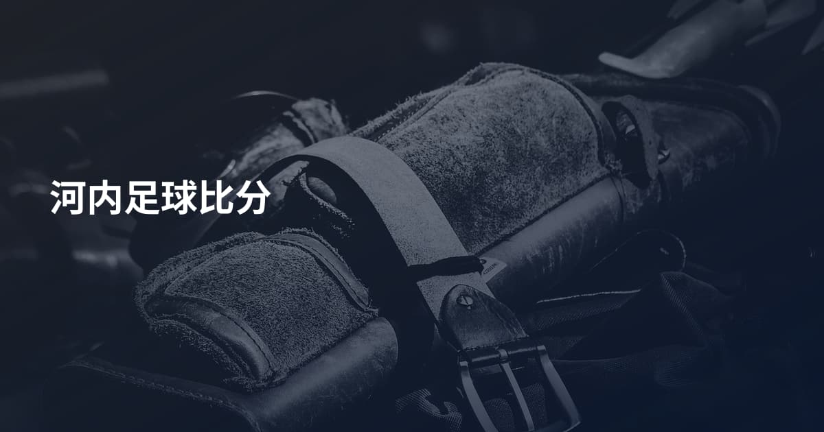 河内足球比分