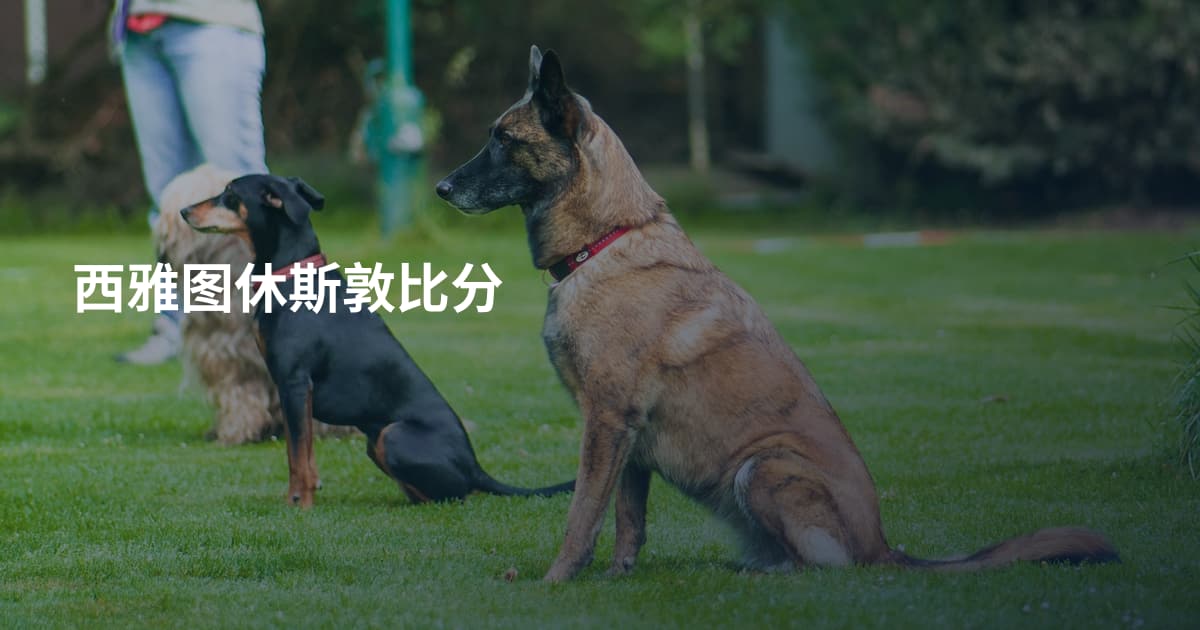 西雅图休斯敦比分