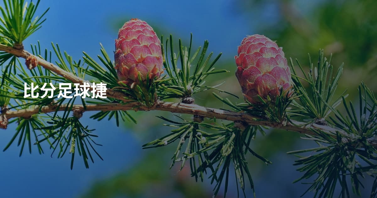 比分足球捷