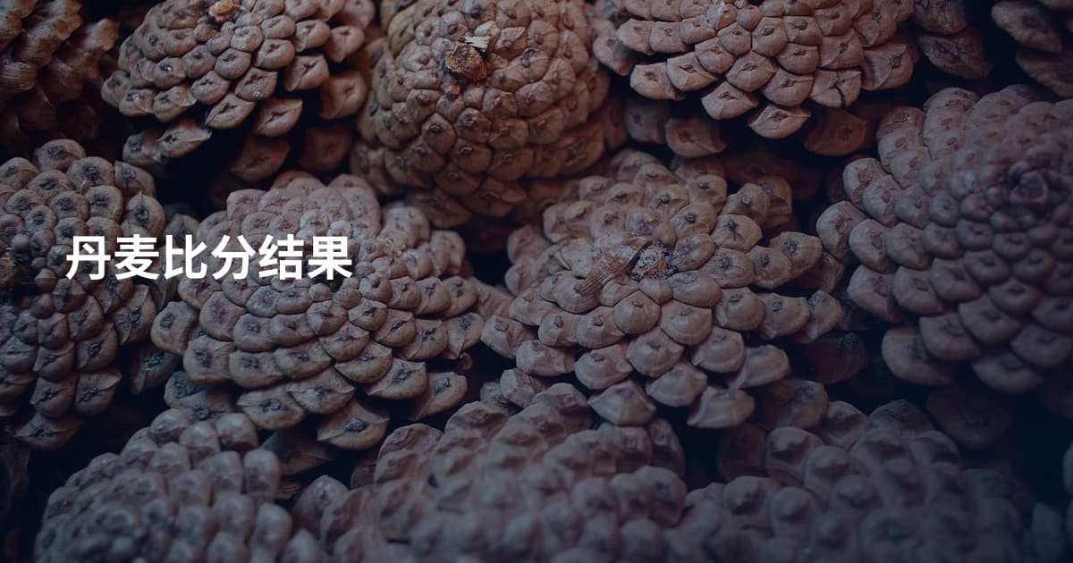 丹麦比分结果