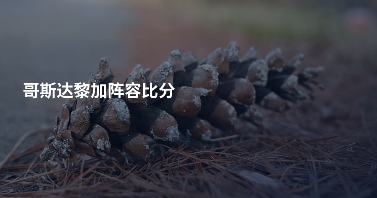 哥斯达黎加阵容比分