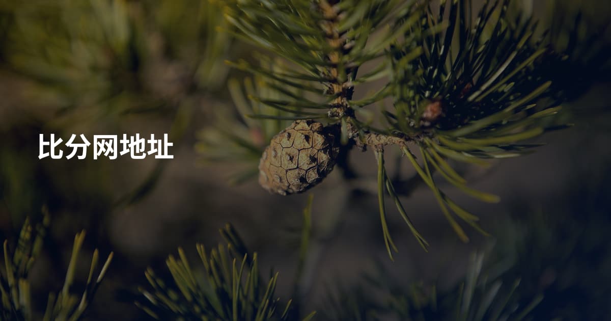 比分网地址