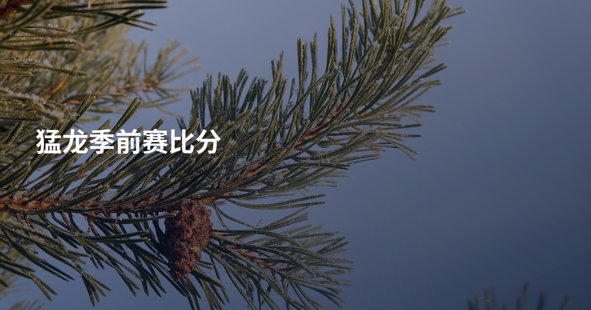 猛龙季前赛比分