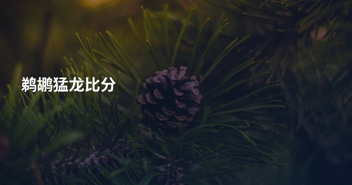 鹈鹕猛龙比分