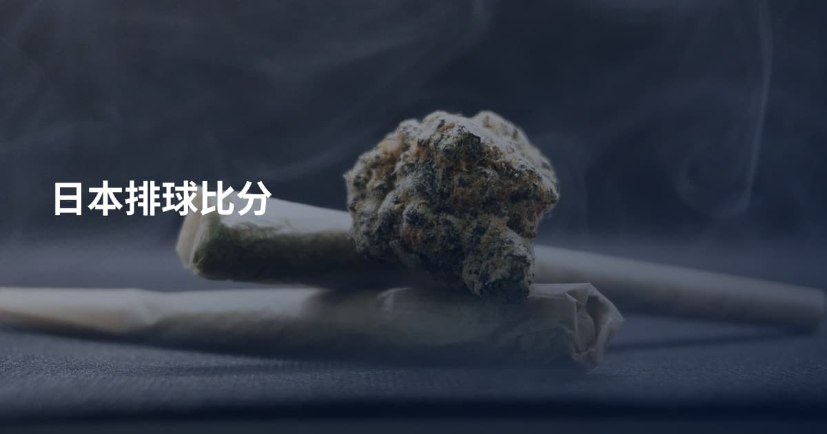 日本排球比分