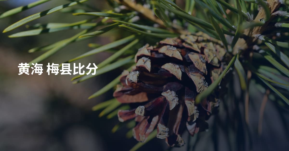 黄海 梅县比分