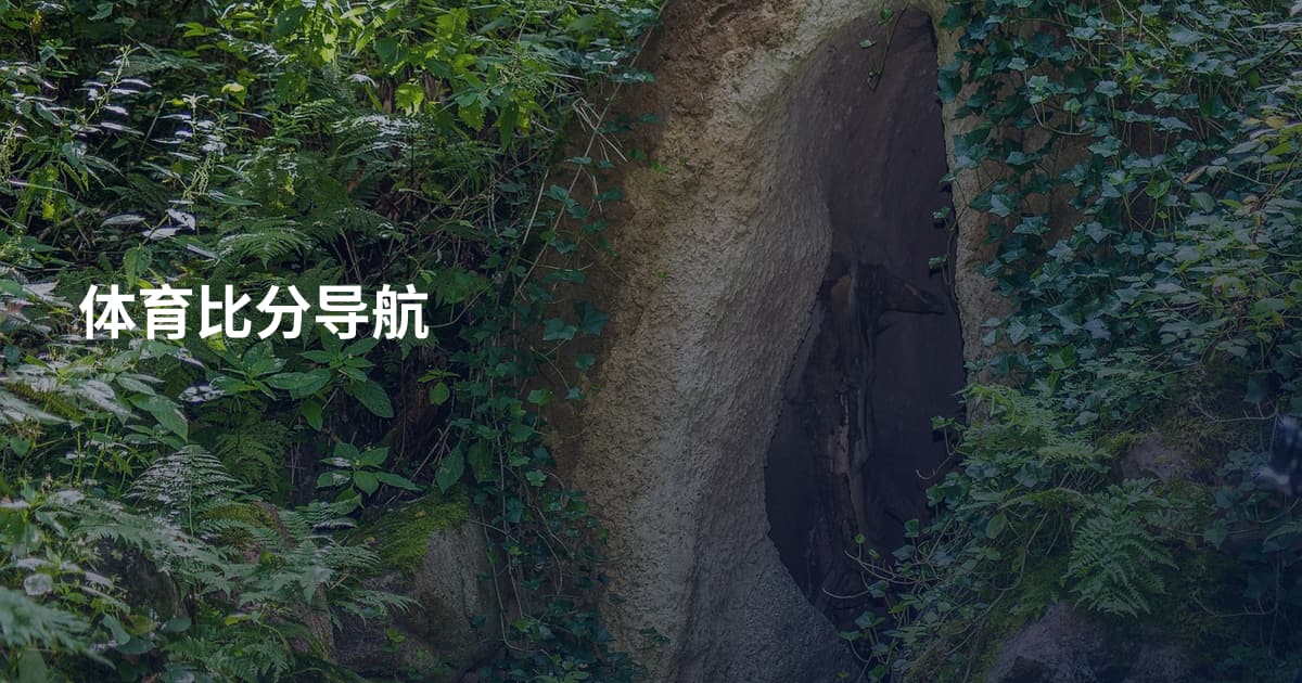 体育比分导航