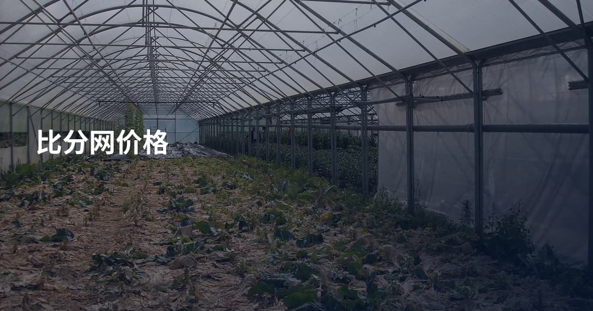 比分网价格