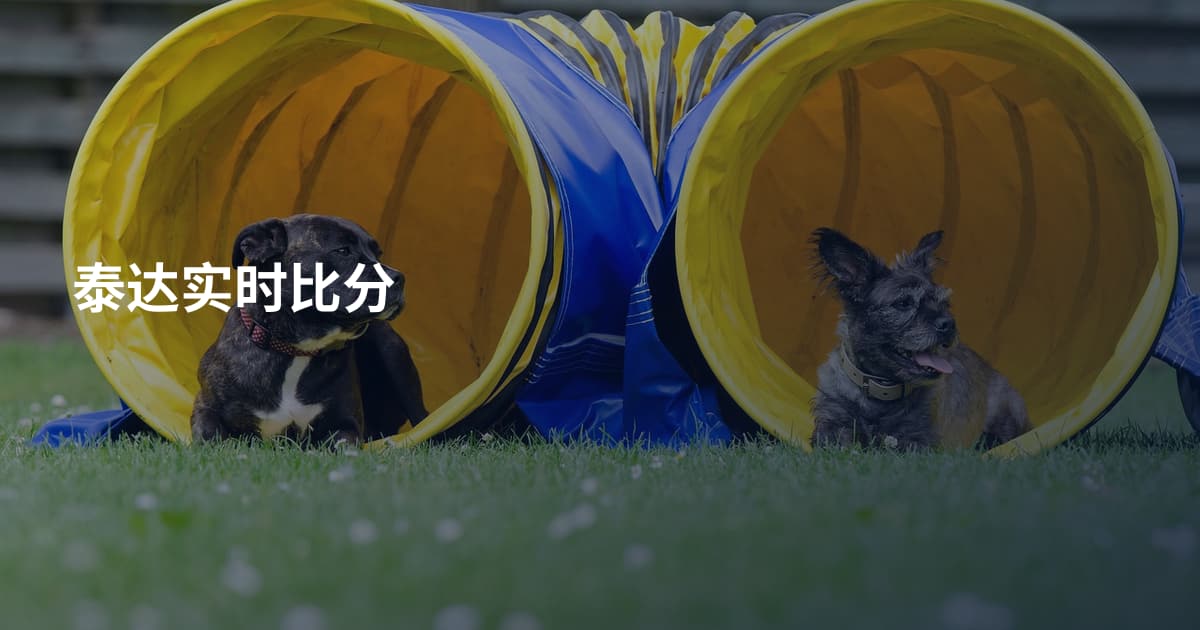 泰达实时比分