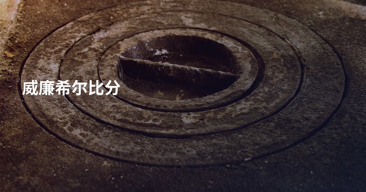 威廉希尔比分