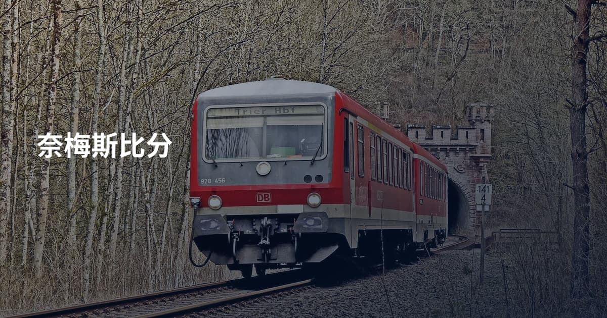 奈梅斯比分