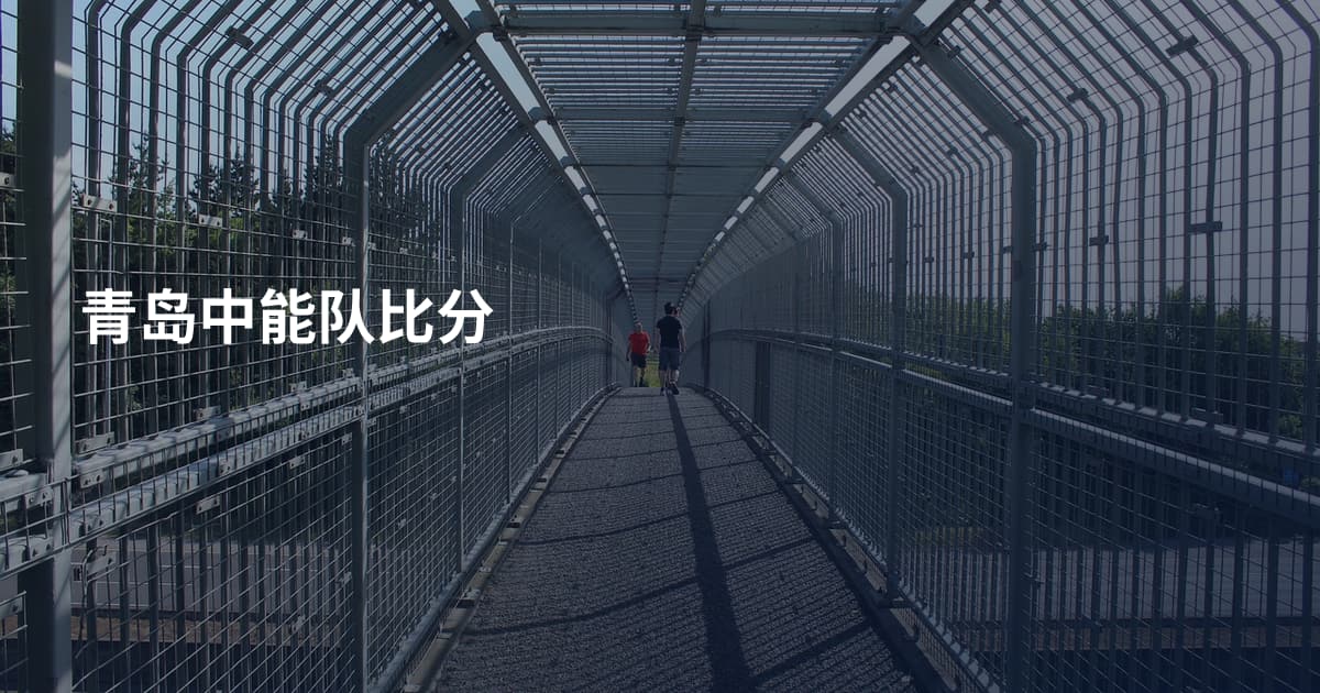 青岛中能队比分