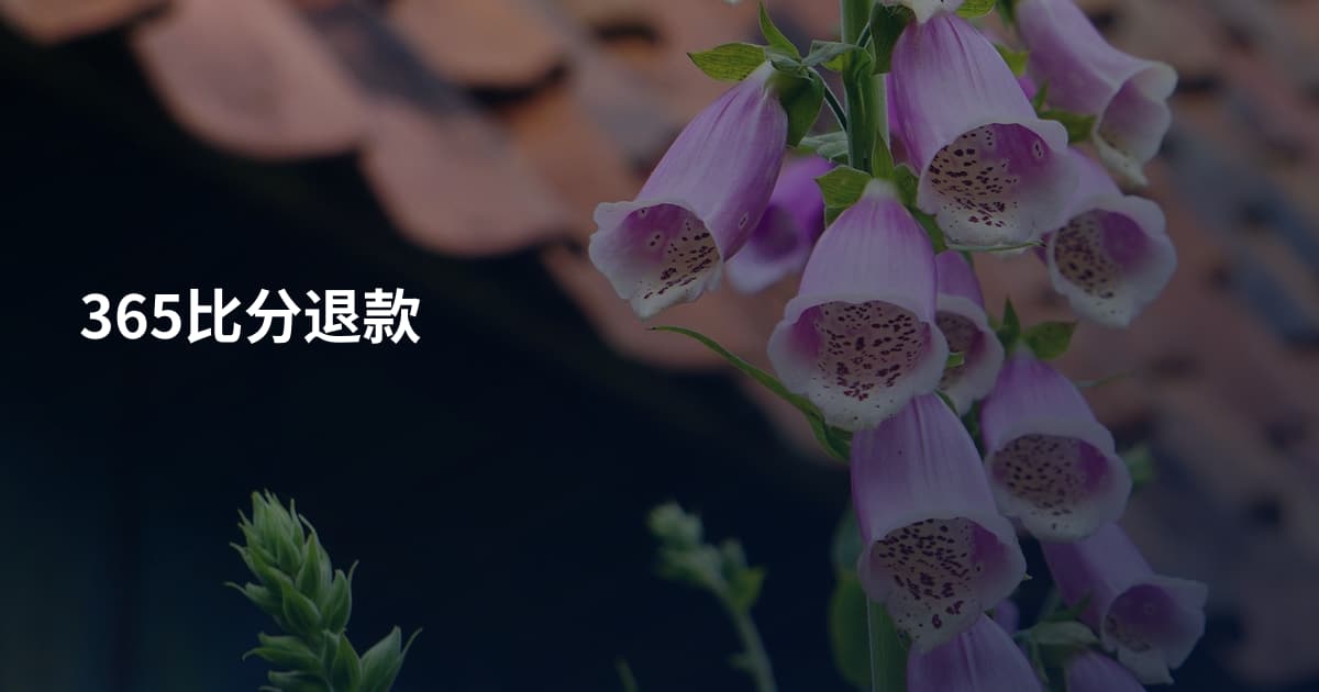 365比分退款
