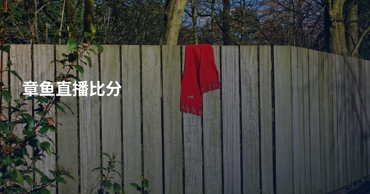 章鱼直播比分