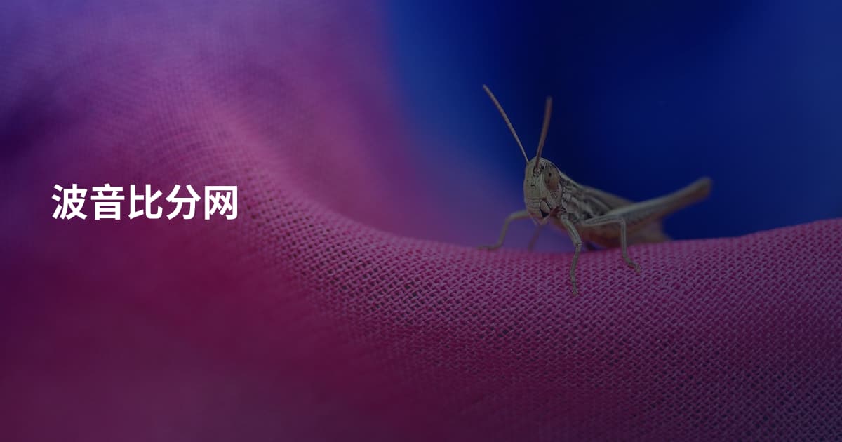 波音比分网