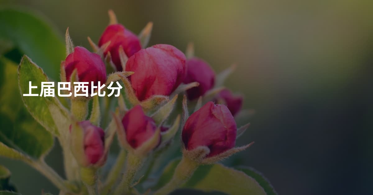 上届巴西比分