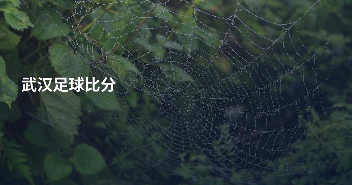 武汉足球比分