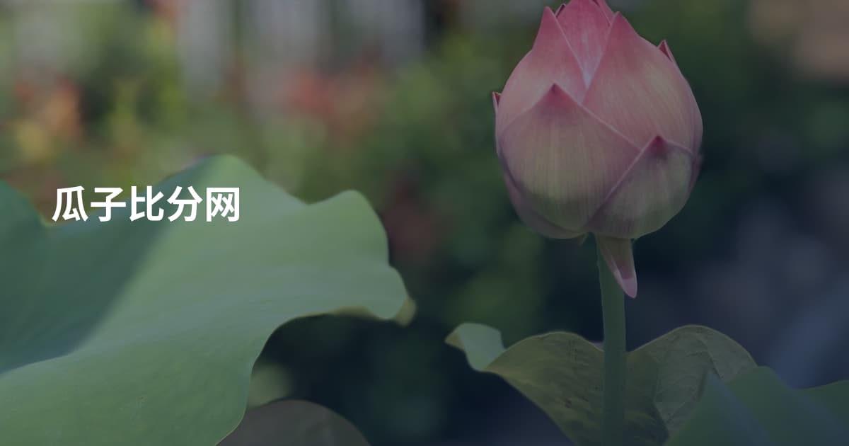 瓜子比分网