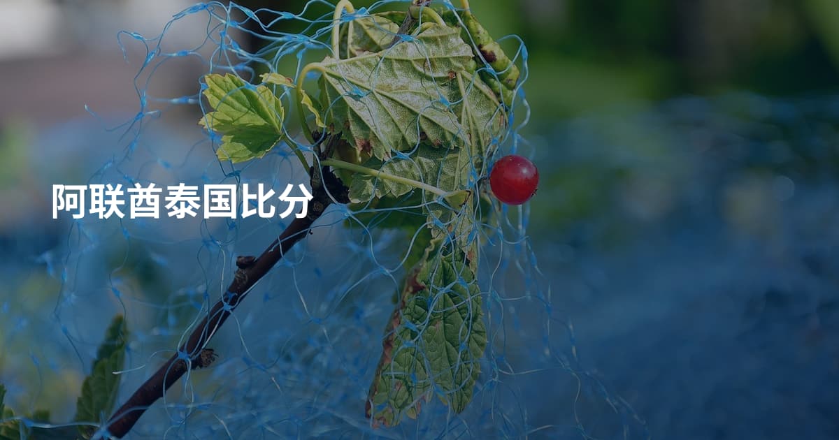 阿联酋泰国比分