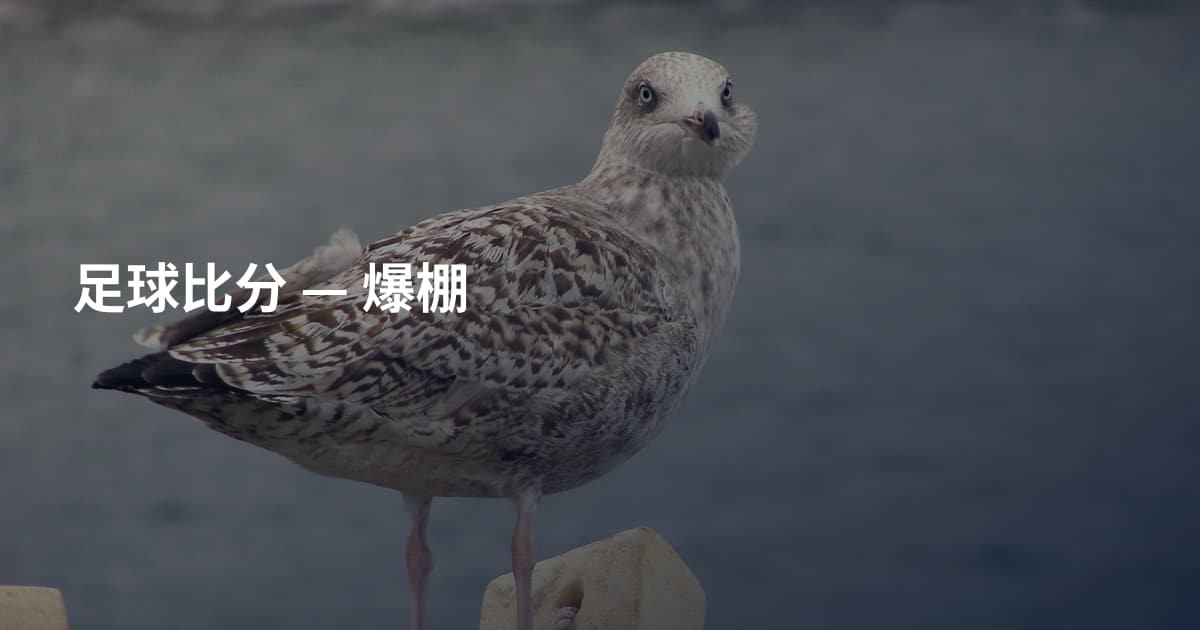 足球比分 — 爆棚