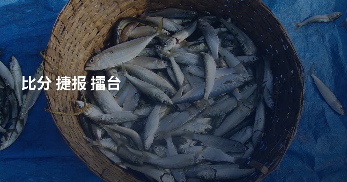 比分 捷报 擂台