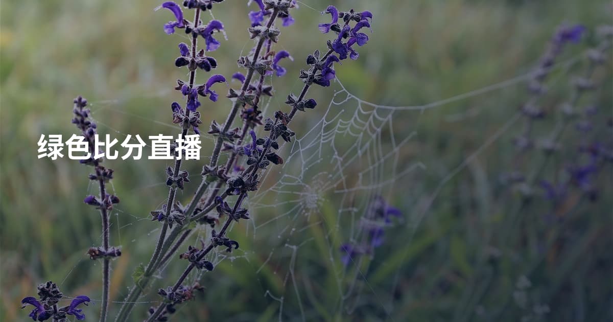 绿色比分直播
